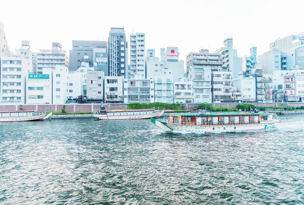 TOKYO - 22 MAI 2016 : Bâtiments le long de la rivière Sumida. Tokyo attrac — Photo