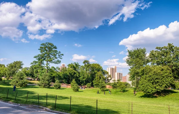 Hermoso parque de ciudad —  Fotos de Stock