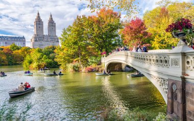 New York City - Ekim 2015: Turist Central Park'ta zevk fol