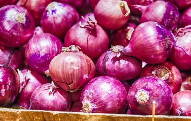 Taze soğan bölümüne perakende zincirleri