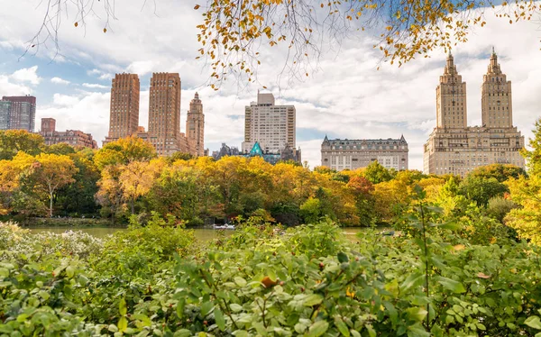 New York City. Foliage season in Central Park with Manhattan sky