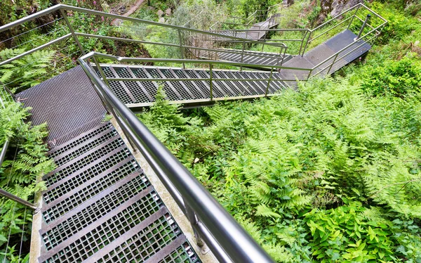 Fém lépcsők erdő — Stock Fotó