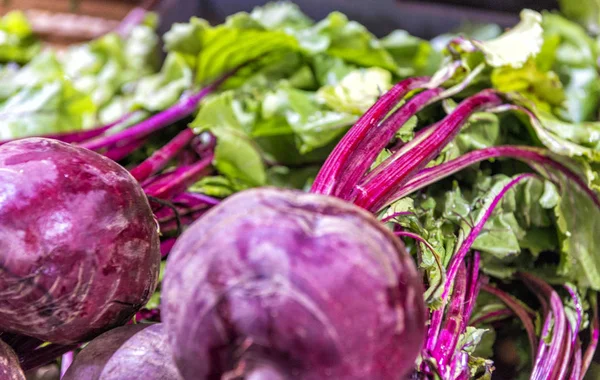 Section des radis frais sur le supermarché de détail — Photo