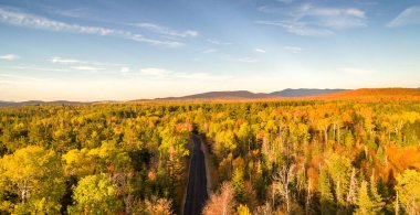 Woods yeşillik sezonu, havadan görünümü