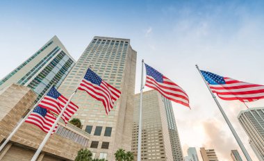 Chopin Plaza, Miami Downtown, ABD bayrakları