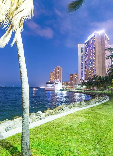 Prédios de Miami à noite com palmeiras, Florida - EUA — Fotografia de Stock