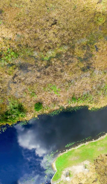 Overhead view of Florida Everglades Swamp - USA — Stock Photo, Image