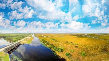 Florida Everglades renkler. Alacakaranlıkta havadan görünümü