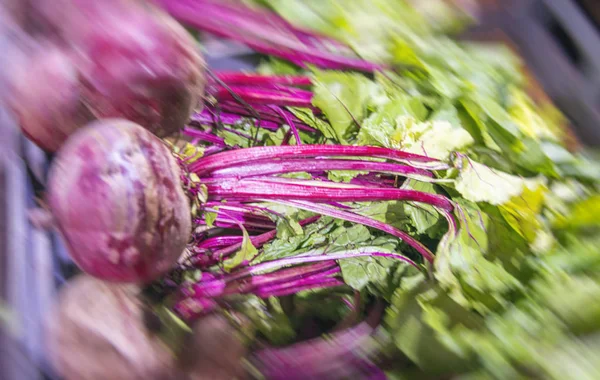 Fresh Radijs sectie op Retail supermarkt — Stockfoto