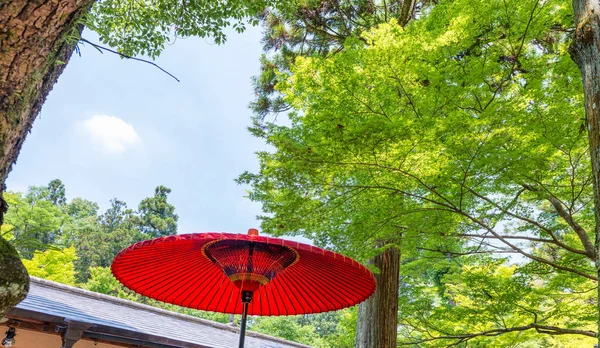 赤い傘と奈良、日本の美しい庭園 — ストック写真