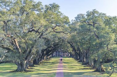 Meşe Sokağı Plantation, Louisiana