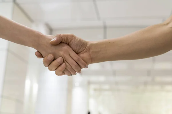 Handshake between man and woman. Business concept