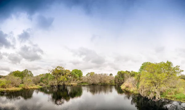 フロリダ州エバーグレーズ湿地のパノラマ ビュー — ストック写真