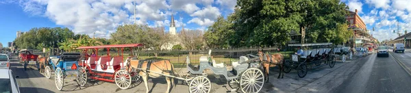 NEW ORLEANS - FEBRUARY 2016: Panoramic view of Horse Carriages a — Stock Photo, Image