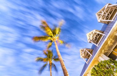 Rüzgar, Key West, avuç içi