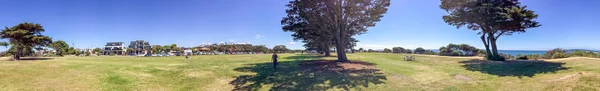 Парк Тейлор вблизи морского заповедника Пойнт-Данджер, панорама соснового леса — стоковое фото