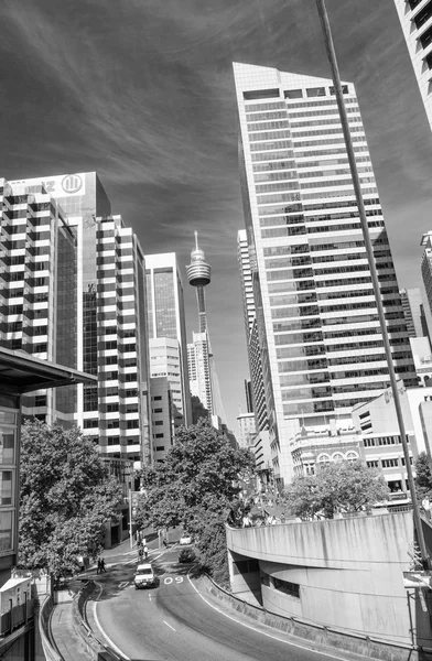 Sydney skyline from street level on a beautiful day