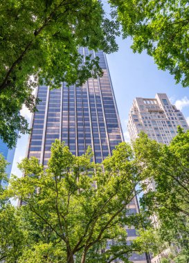 Central Park'tan Manhattan binalar