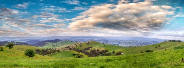 Vista panorâmica do campo australiano ao pôr do sol, New South Wa — Fotografia de Stock