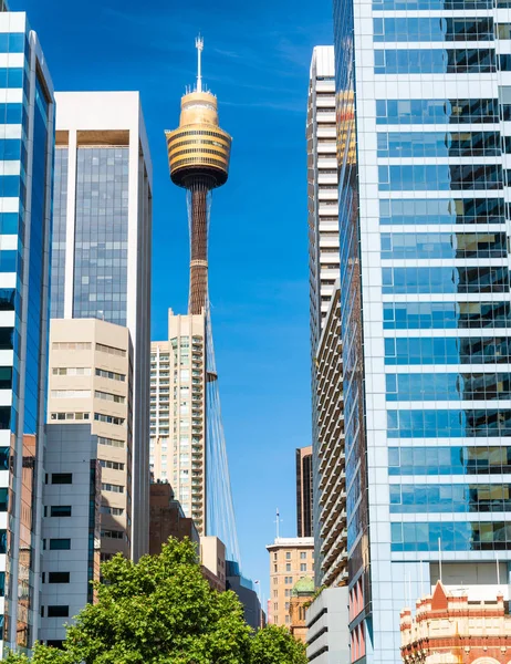 Sydney skyline from street level on a beautiful day — Stock Photo, Image