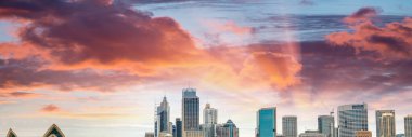 Sidney, Avustralya. Gün batımında panoramik şehir manzarası