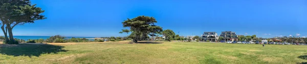Taylor park in der nähe punkt gefahr marine schutzgebiet, pinienwald-panorama — Stockfoto