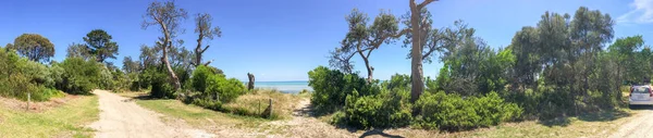 Panoramic view of forest along Point Nepean road, Victoria - Aus — Stock Photo, Image