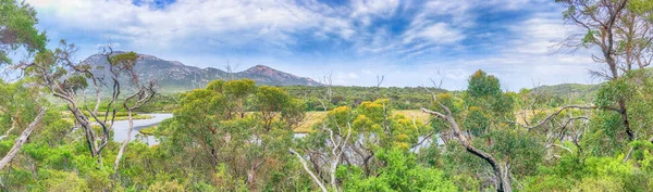 Přílivová řeka stezka panoramatický pohled v Wilsonovým Promontory park, Austrálie — Stock fotografie