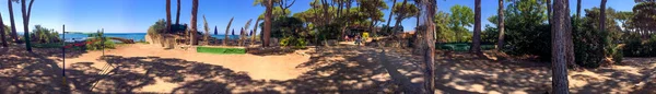 Belle vue panoramique sur la pinède toscane — Photo