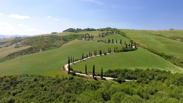 Increíble vista aérea de la campiña Toscana sinuoso camino en sprin —  Fotos de Stock