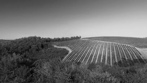 Tuscany landsbygd kullar, fantastisk Flygfoto våren — Stockfoto