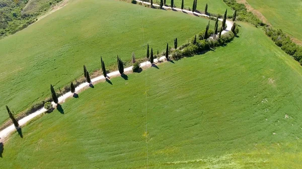 Incredibile vista aerea della campagna toscana tortuosa strada in sprin — Foto Stock