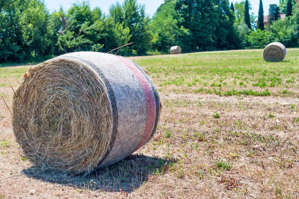 Széna bálák tavasz - Toscana, Olaszország — Stock Fotó