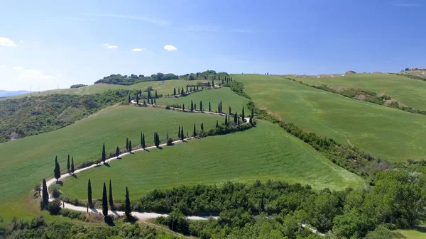 Increíble vista aérea de la campiña Toscana sinuoso camino en sprin —  Fotos de Stock