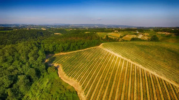 Prachtige heuvels van Toscane, uitzicht vanuit de lucht — Stockfoto