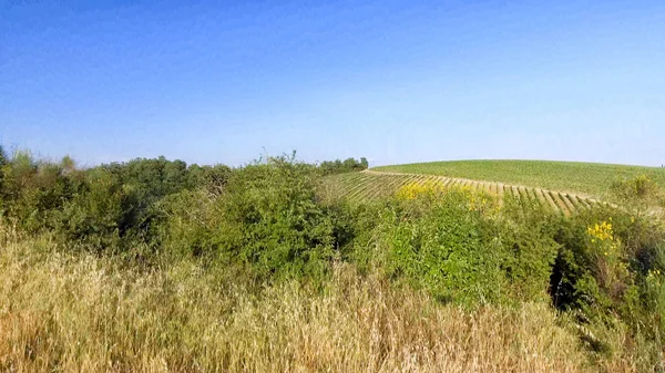 Прекрасні пагорби Тоскани, вигляд з повітря. — стокове фото