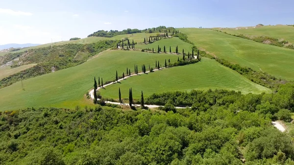 Increíble vista aérea de la campiña Toscana sinuoso camino en sprin —  Fotos de Stock