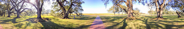 Oak Alley Plantation panoramic view, Louisiana.