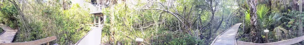 Everglades drzew i drewnianych ścieżek, panoramiczny widok - Florida, Stany Zjednoczone Ameryki — Zdjęcie stockowe