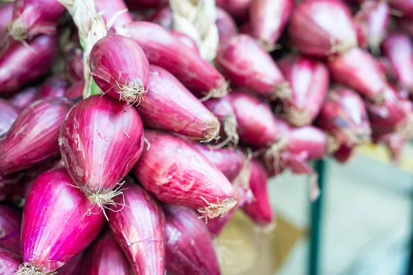 トロペアにある、イタリアの有名な玉ねぎ — ストック写真