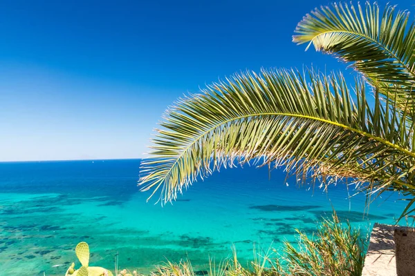 Szemben a lenyűgöző, kristálytiszta tenger vizében, nyaralás c Palm ág — Stock Fotó