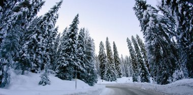 Kış aylarında dolomites Dağları'nın karlı manzara