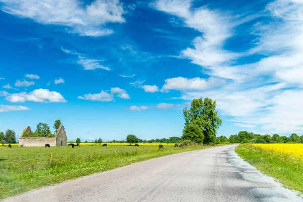 Bela estrada através do campo no verão — Fotografia de Stock