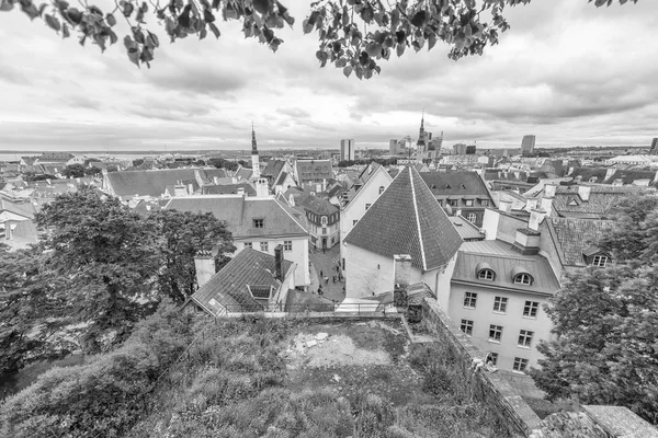 TALLINN, ESTONIA - 2 de julio de 2017: Vista panorámica de la ciudad aérea. Tal —  Fotos de Stock