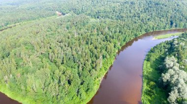 Nehir orman genelinde havai görünümü