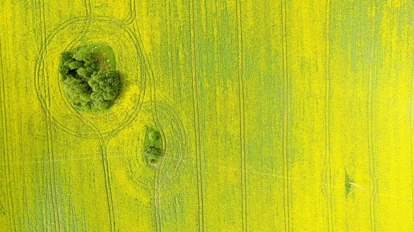 Güzel sarı çayırlar açık ülkede ek yükü havadan görünümü