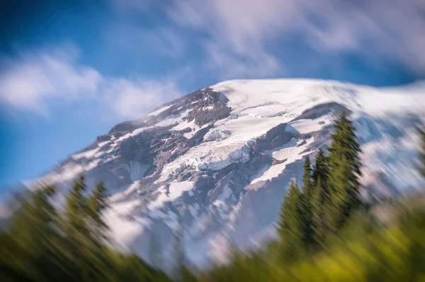 Vackra landskapet i Mount Rainier i sommar — Stockfoto