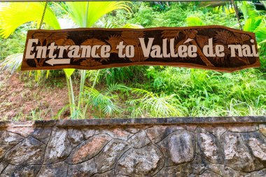 Valle de Mai giriş, Praslin, Seyşel Adaları tropikal ormanda