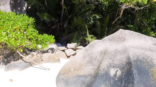 Flybilde av Anse-kilde D 'Argent i La Digue - Seychelles Isl – stockfoto