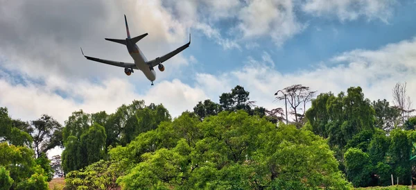 Airplane landing behind trees — Stock Photo, Image